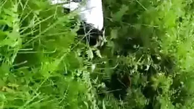 Catches a college couple fucking in an Indian outdoor sex